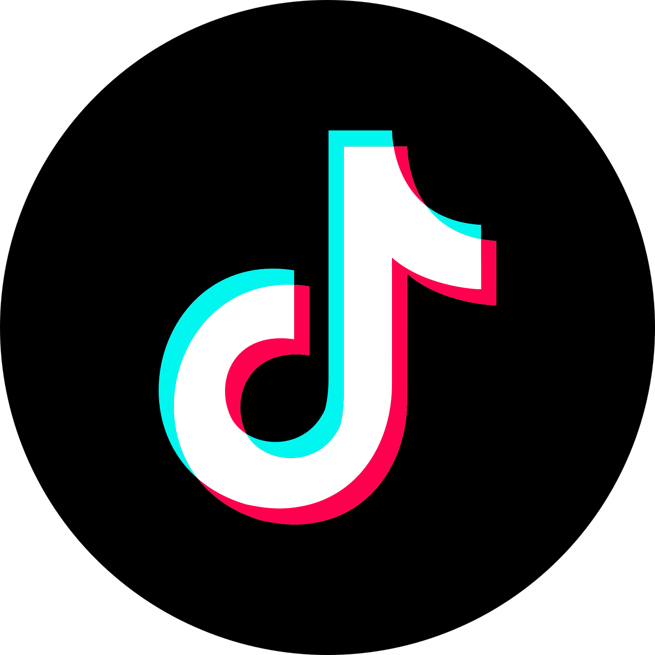 tiktok-6338430_1280